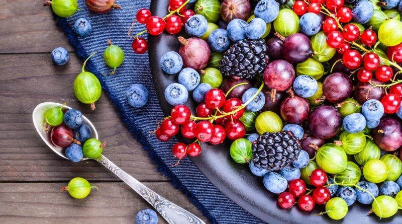 Polyphenols Market 2022 : Industry Analysis, Trends, Segmentation, Regional Overview And Forecast Till 2031 
