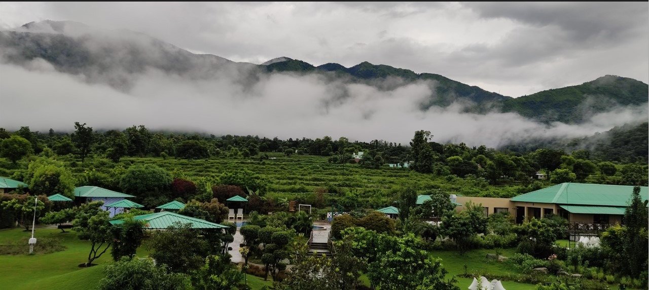 Enjoy your stay at the best luxury resort in Jim Corbett