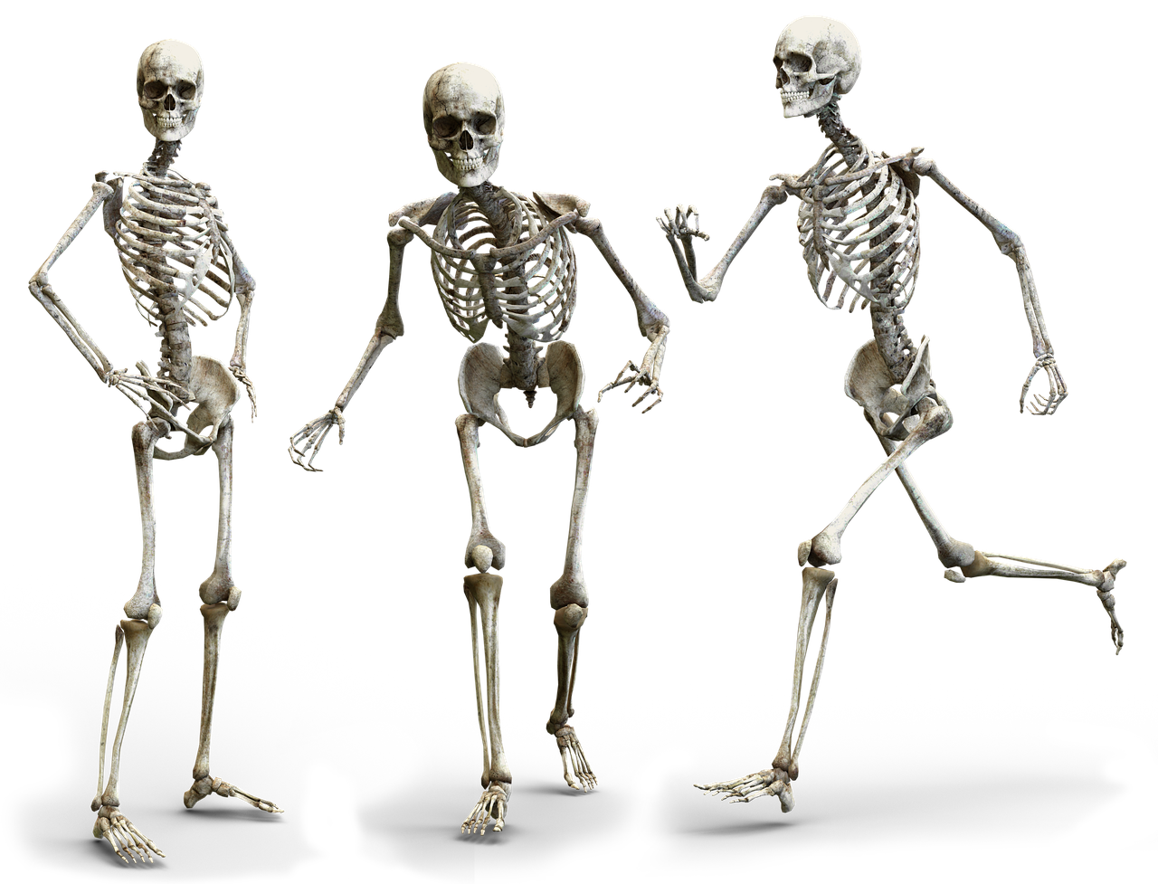 3 Ways to Build Healthy and Strong Bones