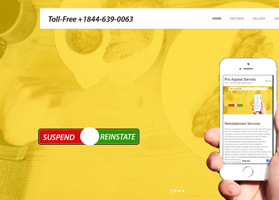 Appeal Service Amazon/E bay