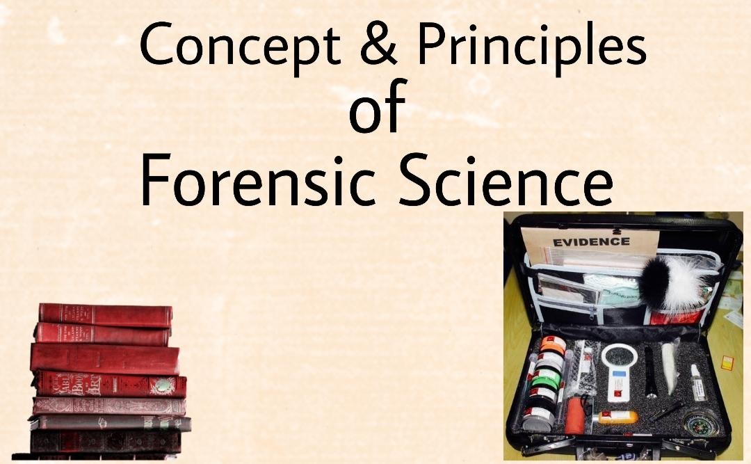 Affordable Physical Evidence In Forensic Science | Connectel