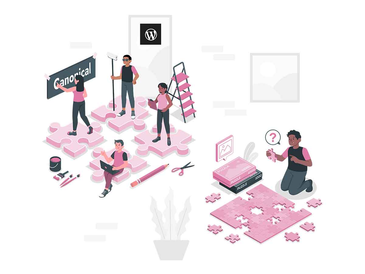 Canonical Plugins! What, Why, When, How, and Where. All You Need to Know!