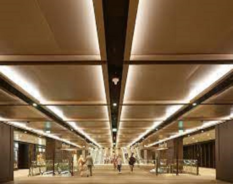 Affordable Content Creation Florida