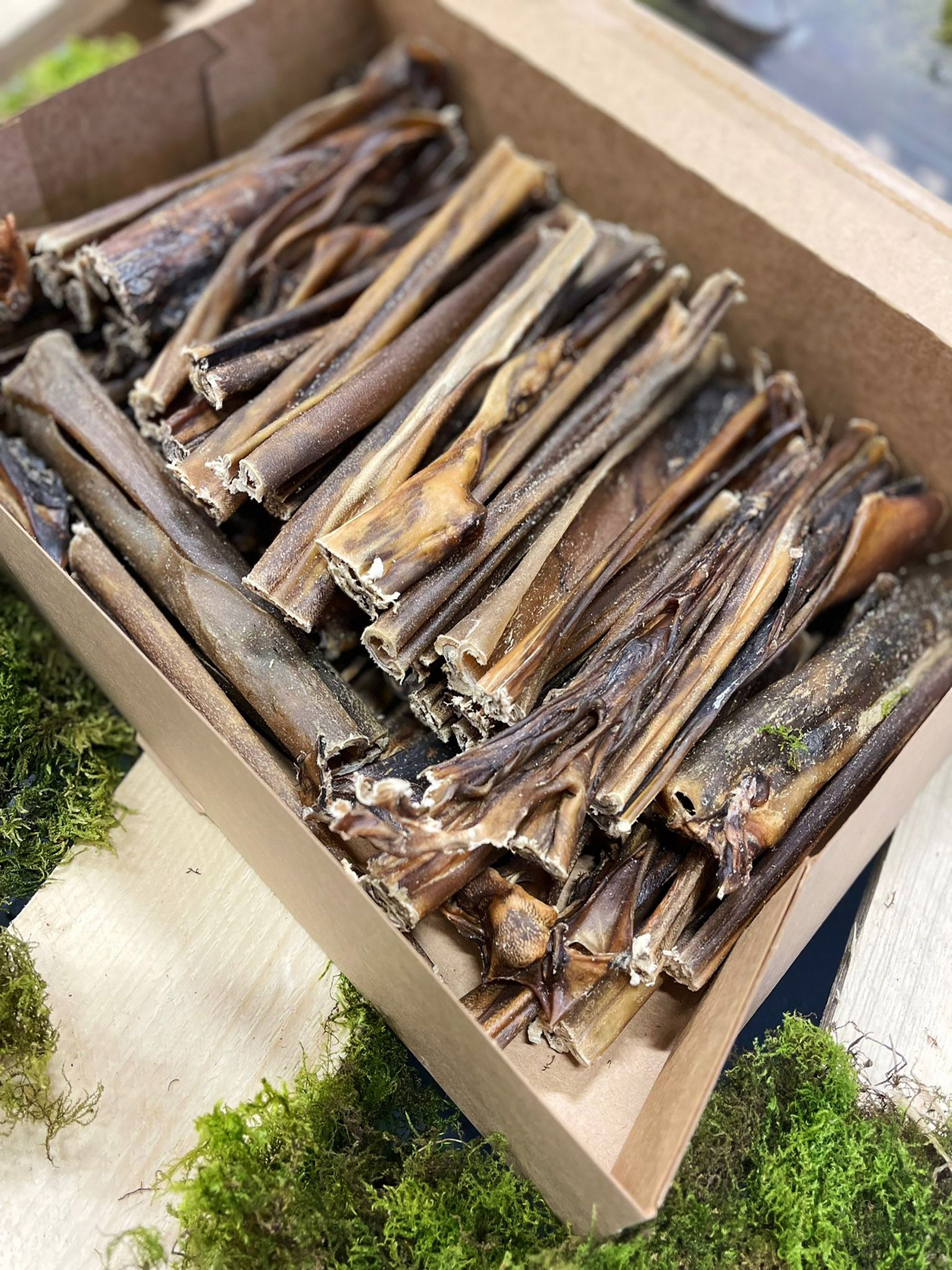 Making The Switch: Transitioning To Natural Dog Treats For Training 