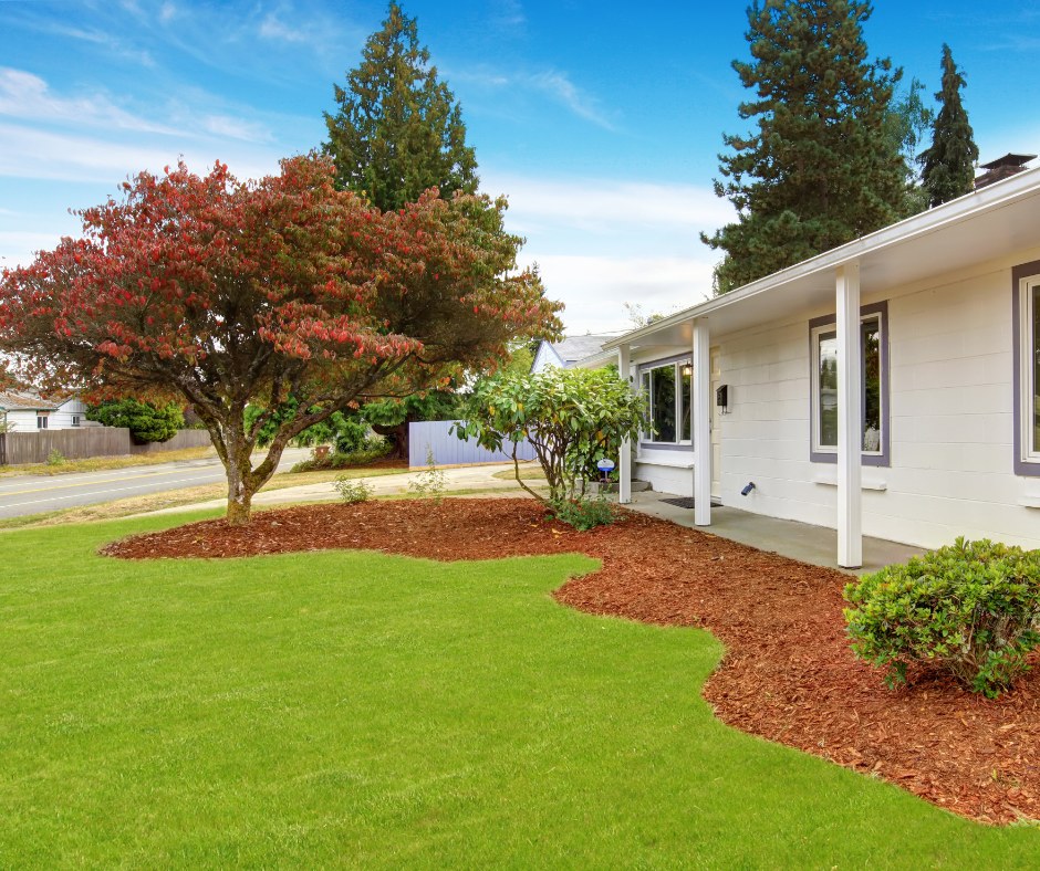 Top Landscaping Companies in Florida: Transform Your Yard Today