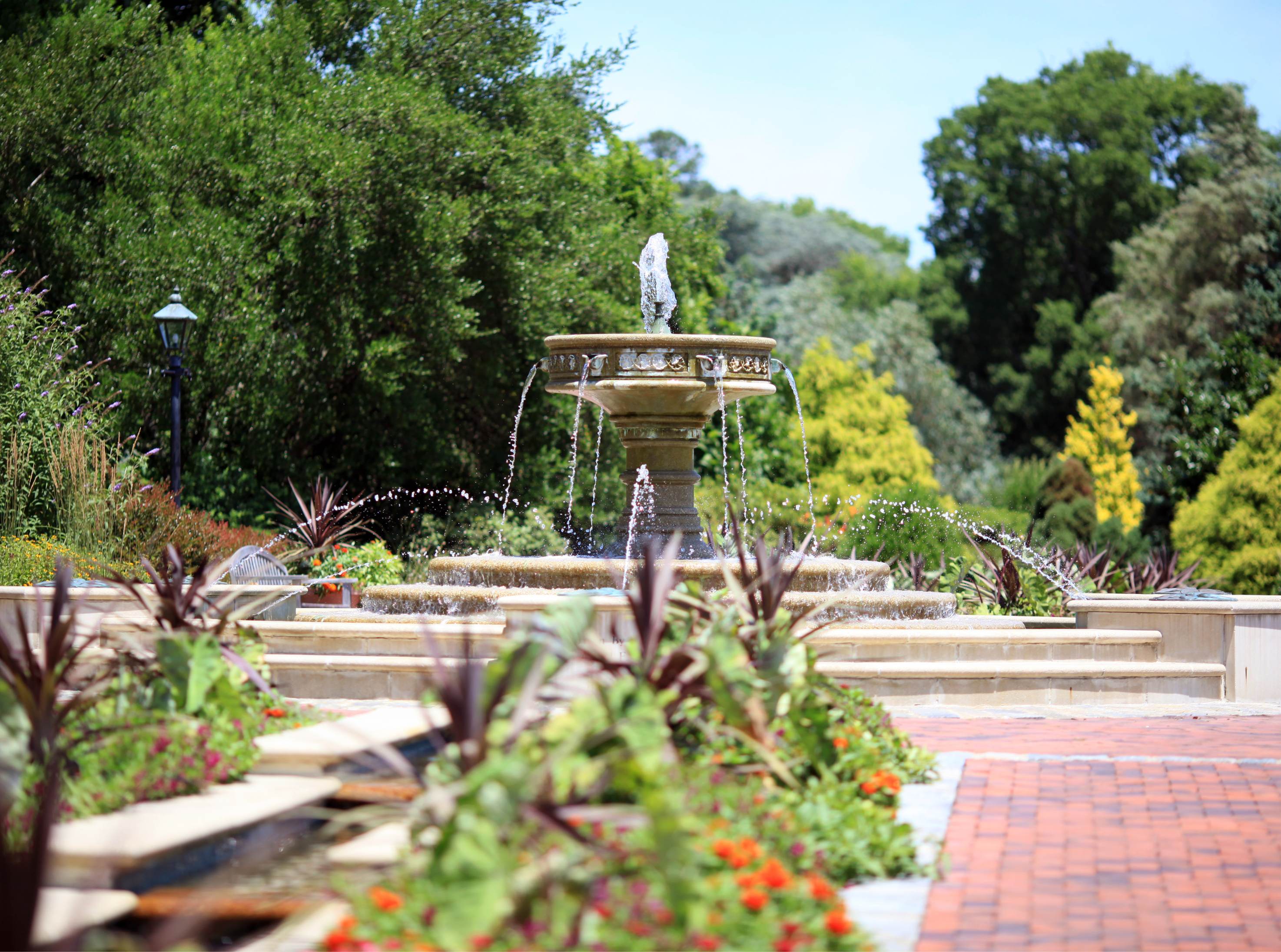 The Importance of Commercial Landscaping Services: Enhancing Your Business's Image and Value