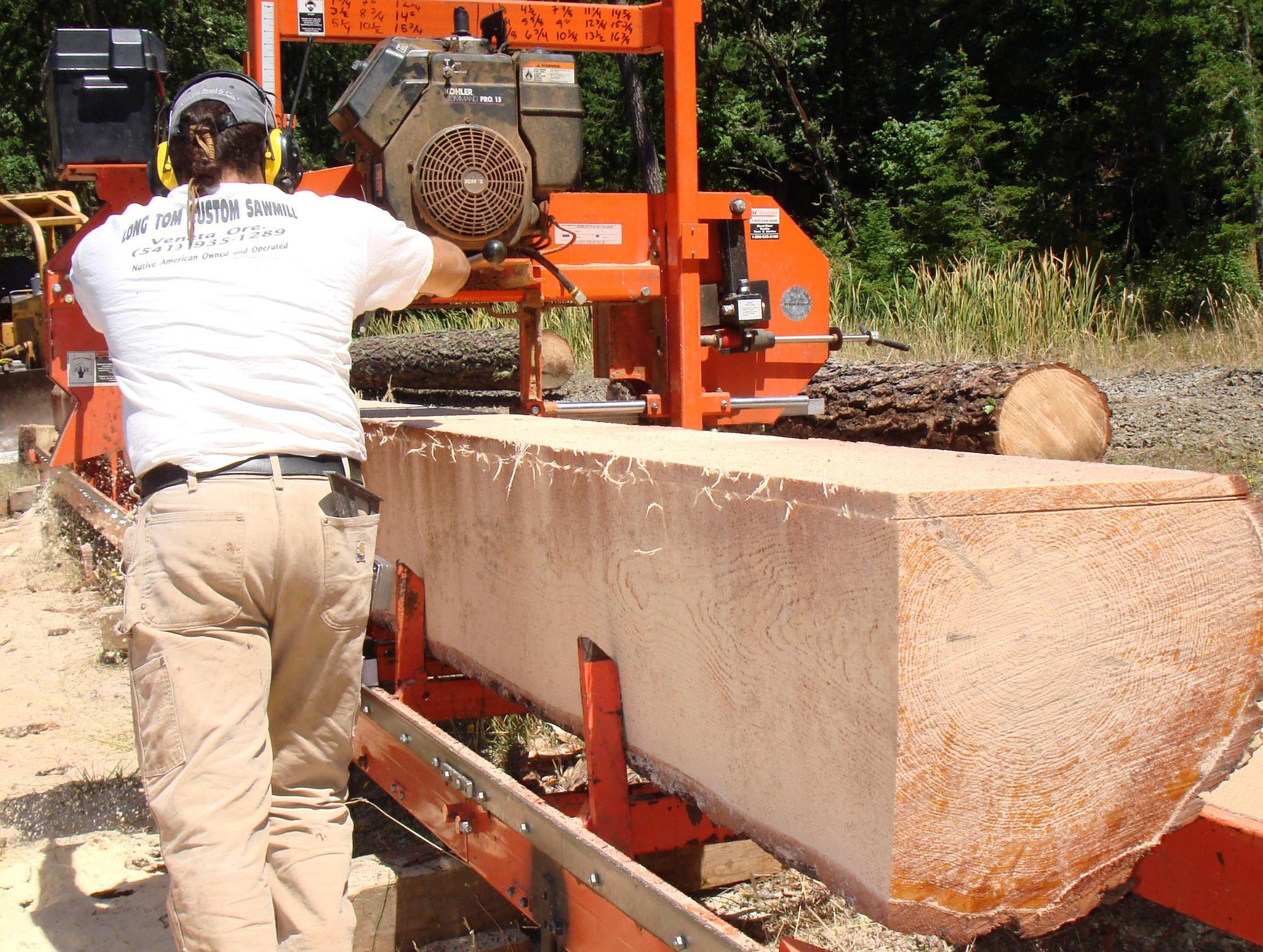 Essential Forestry Equipment Used In Large-Scale Timber Harvesting