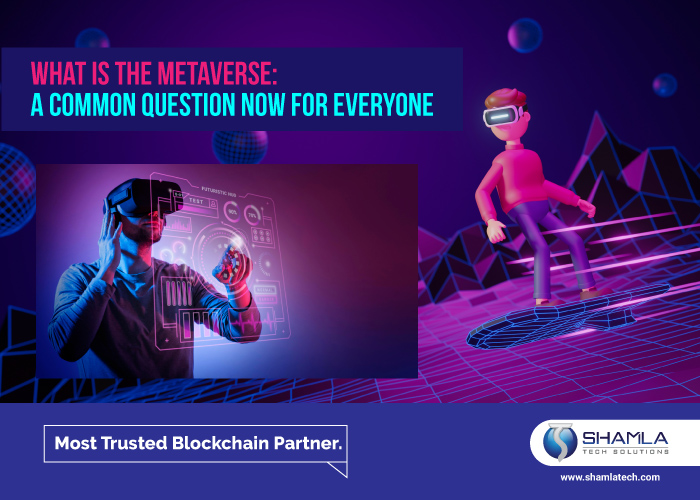 Metaverse Game Development