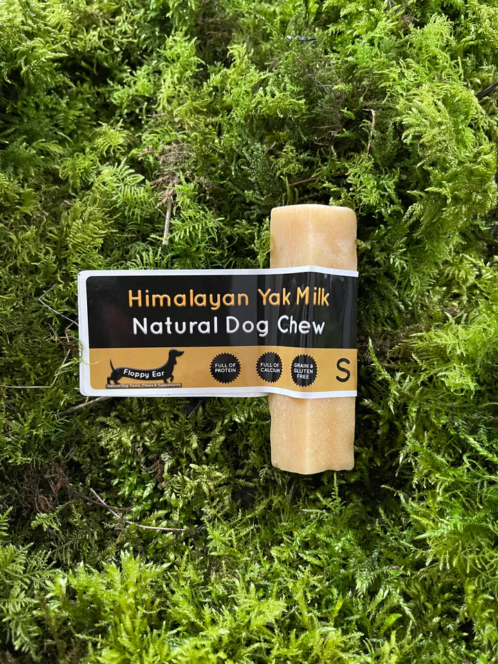 Is It Safe That Dogs to Eat Antlers? Understanding More of Antler Dog Treat