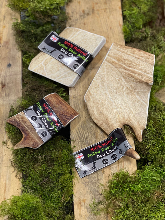 Make Your Dog Healthy the Growing Age with These Fallow Deer Antler for Dogs