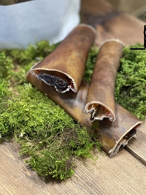 An Insider Guide To Choose The Best Antler Dog Treats 
