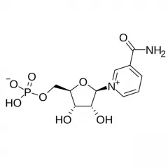 Why People Demand 5-HTP Powder to Enhance Life