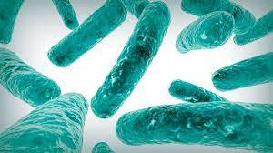 Industrial Microbiology Market Key Players, Latest Trades & Forecast Report to 2030