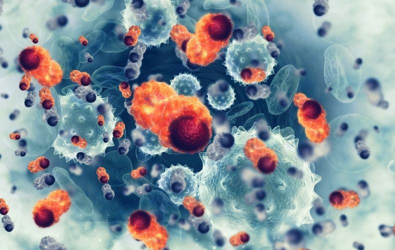 Stromal Vascular Fraction Market Key Players, Latest Trades & Forecast Report to 2030