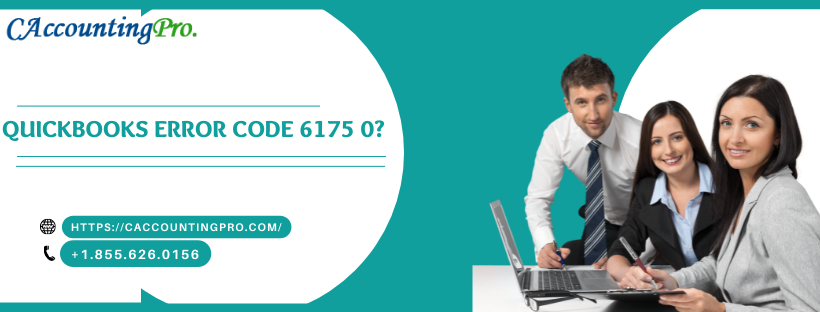 How to fir QuickBooks error 6175 0?