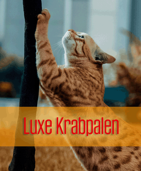 Hoe werken zelfreinigende kattenbakken?