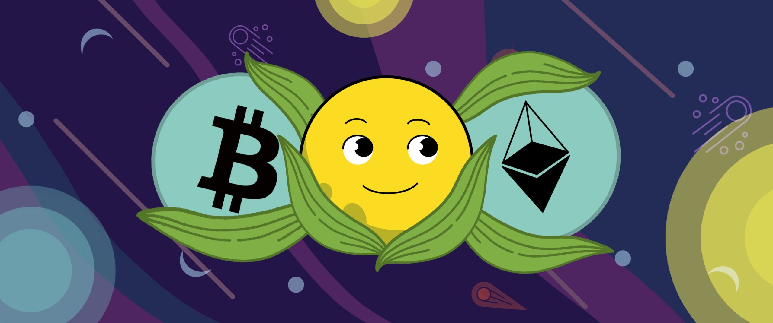 What is wrapped token/