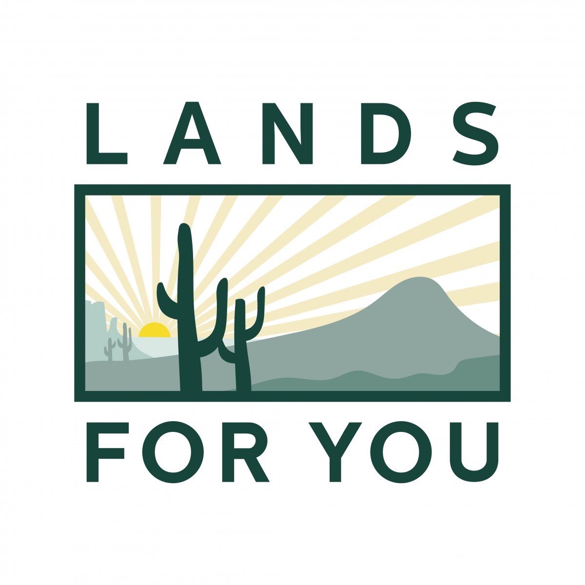 4 Things to Look for When Investing in Phoenix Land