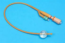 Indwelling Catheters Market Growth Rate Analysis Report 2022-2028