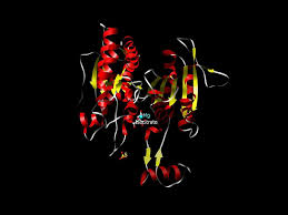 Enzyme Inhibitor Market 2022 Size, Share & Forecast Report to 2028