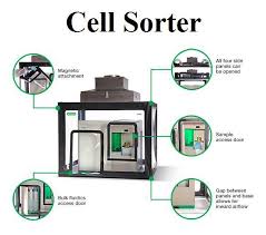 Cell Sorting Market Latest Trends and Outlook Report 2028