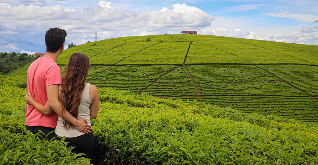 Romantic tour on honeymoon in your own style with a tailored safari vacation package