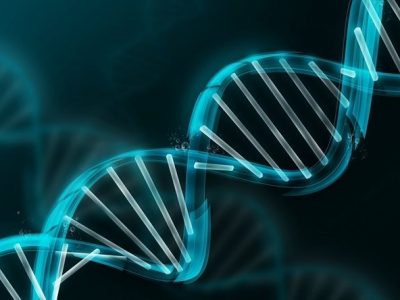 RNA Sequencing Services Market Size, Key Players & Forecast Report to 2028