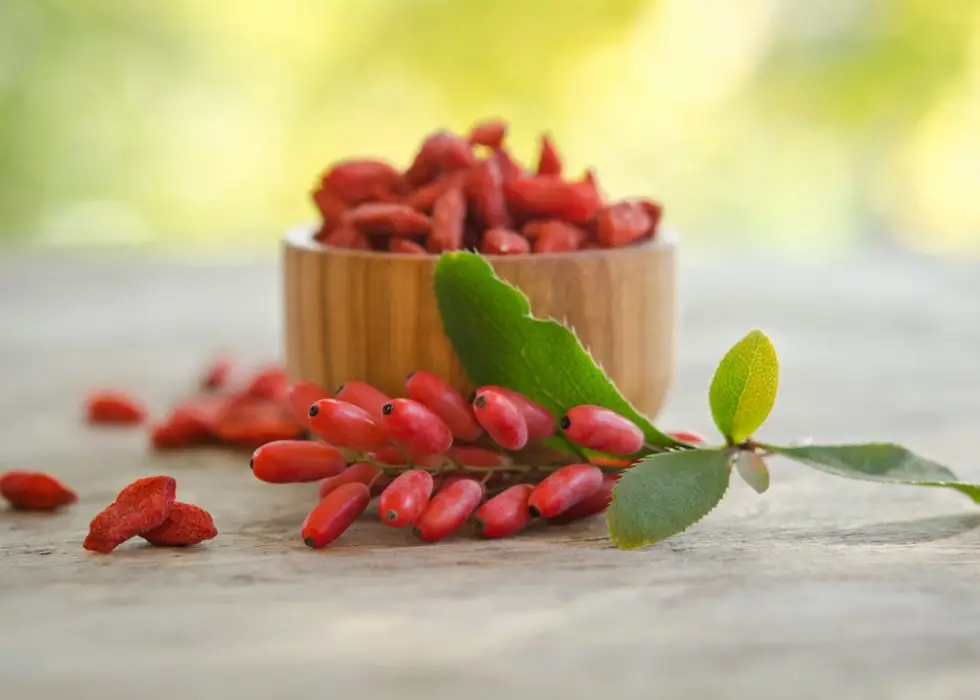 Berberine Market Share, Revenue and Growth Analysis Report Till 2030 | Value Market Research