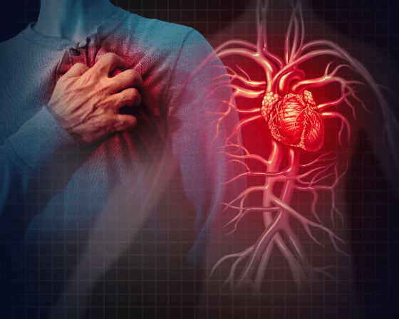 Cardiovascular Disease Market Key Players, Share & Latest Trades Report to 2028