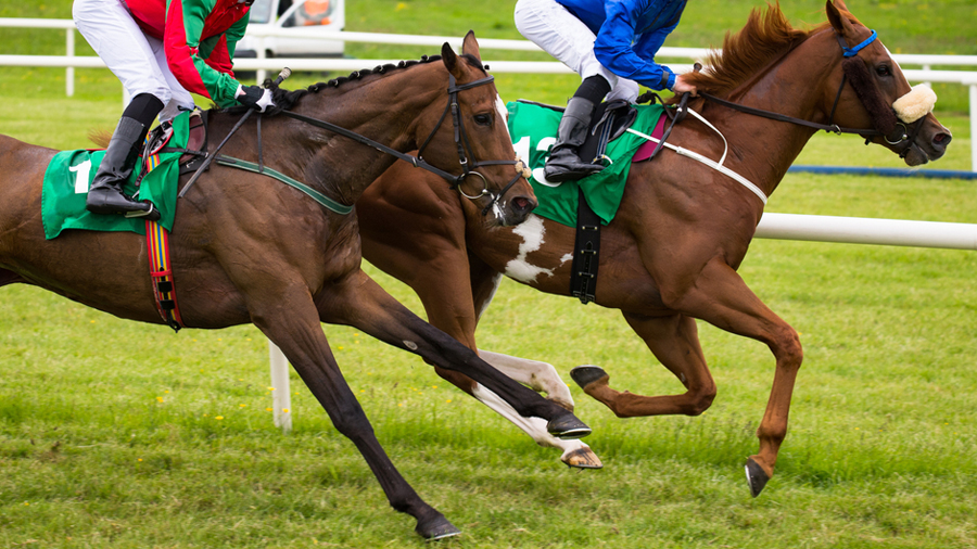Horse Racing Market Insight | Outlook | Growth Analysis Report 2022-2028