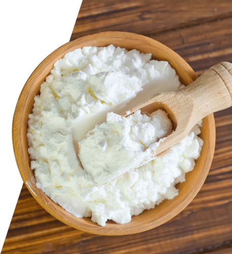 Cationic Starch Market Insight | Outlook | Growth Analysis Report 2028