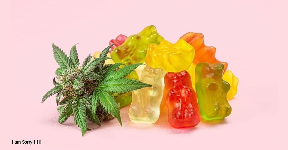 CBD Gummies Market Insight | Outlook | Growth Analysis Report 2022-2028