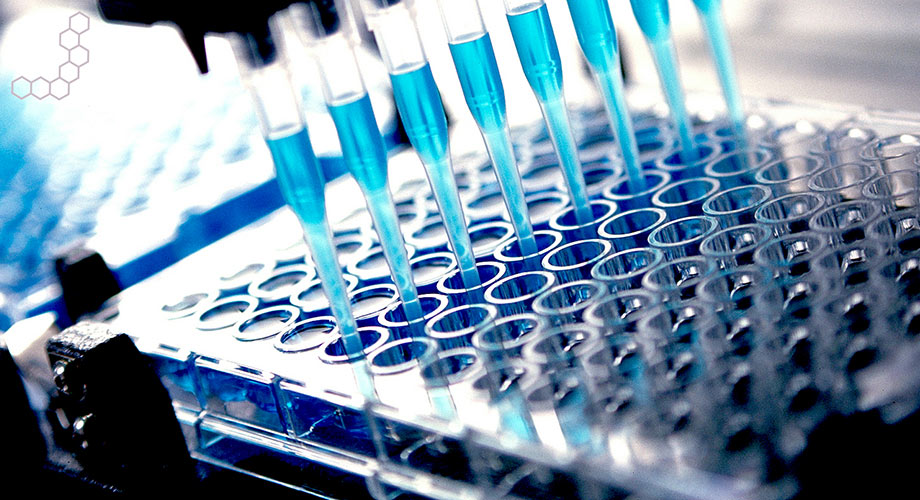 Bioanalytical Services Market Insight | Outlook | Growth Analysis Report 2028