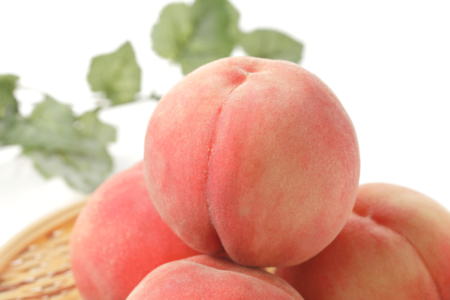 Peach Skin Market 2022 Key Players, Share & Forecast Report to 2028