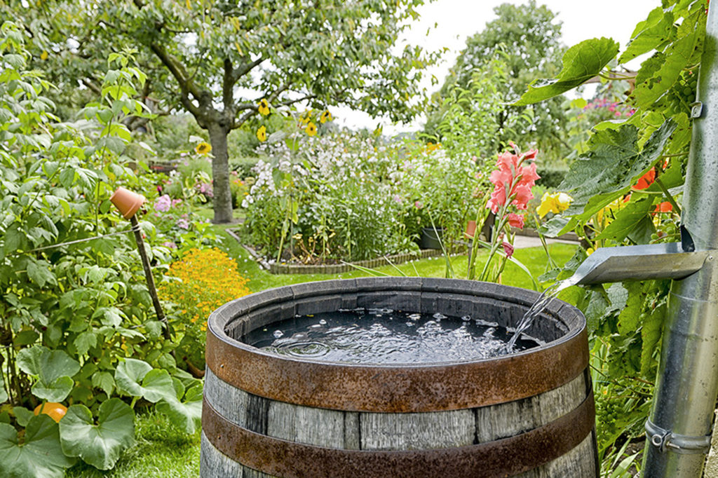 Rainwater Harvesting Market Size, Key Players & Forecast Report to 2030