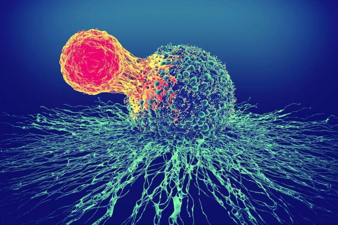 Autologous Cell Therapy Market Report 2022-2028 | Industry Analysis By Top Key Players