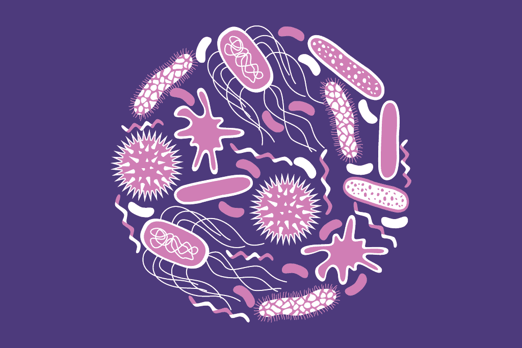 Global Gut Microbiome Market Share, Latest Trades and Growth Analysis Report Till 2028