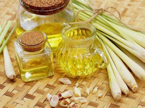 Lemongrass Oil Market Insight | Outlook | Growth Analysis Report 2028