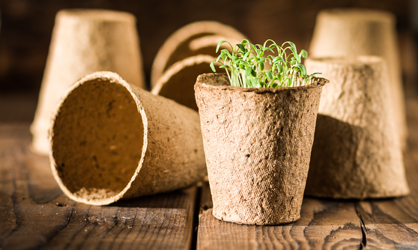 Compostable Polymer Market Key Players, Share & Latest Trades Report to 2030