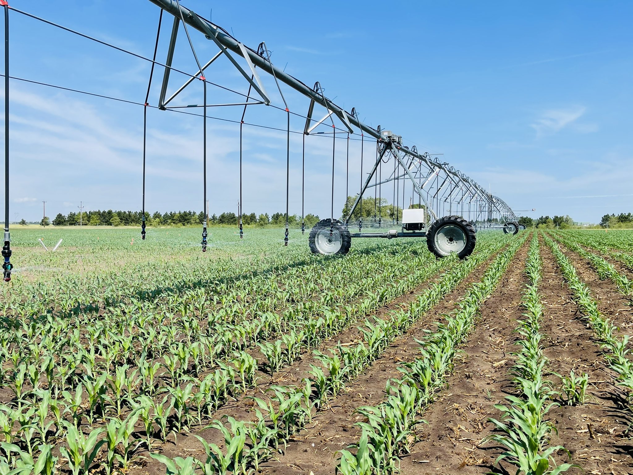 Crop Nutrient Management Market Trends, Share & Forecast Report to 2028