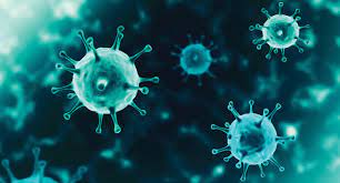 Antibacterial Coating Market Size, Key Players & Forecast Report to 2028