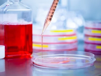 Cell Culture Media Market 2022 Trends, Share & Forecast Report to 2028