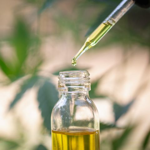 Tick Repellent Market Key Players, Share & Forecast Report to 2028
