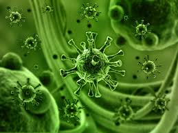 Virus Filtration Market 2022 Size, Key Players & Forecast Report to 2028