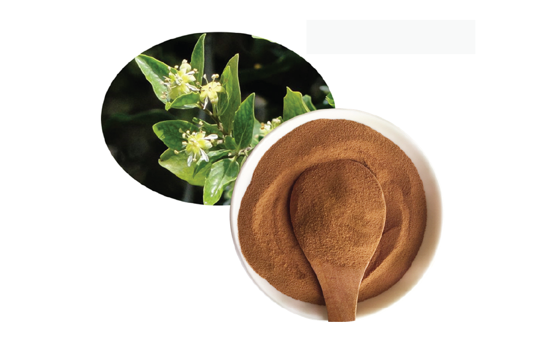Quillaia Extract Market Insight | Outlook | Growth Analysis Report 2022-2028