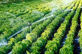 Irrigation Automation Market Insight | Outlook | Growth Analysis Report 2028