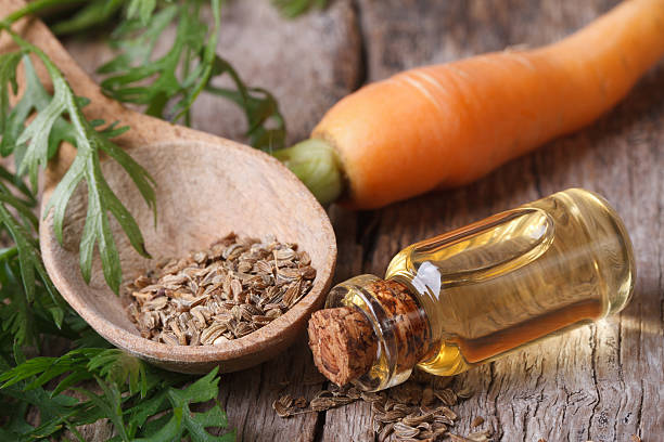 Carrot Seed Market Insight | Outlook | Growth Analysis Report 2022-2028