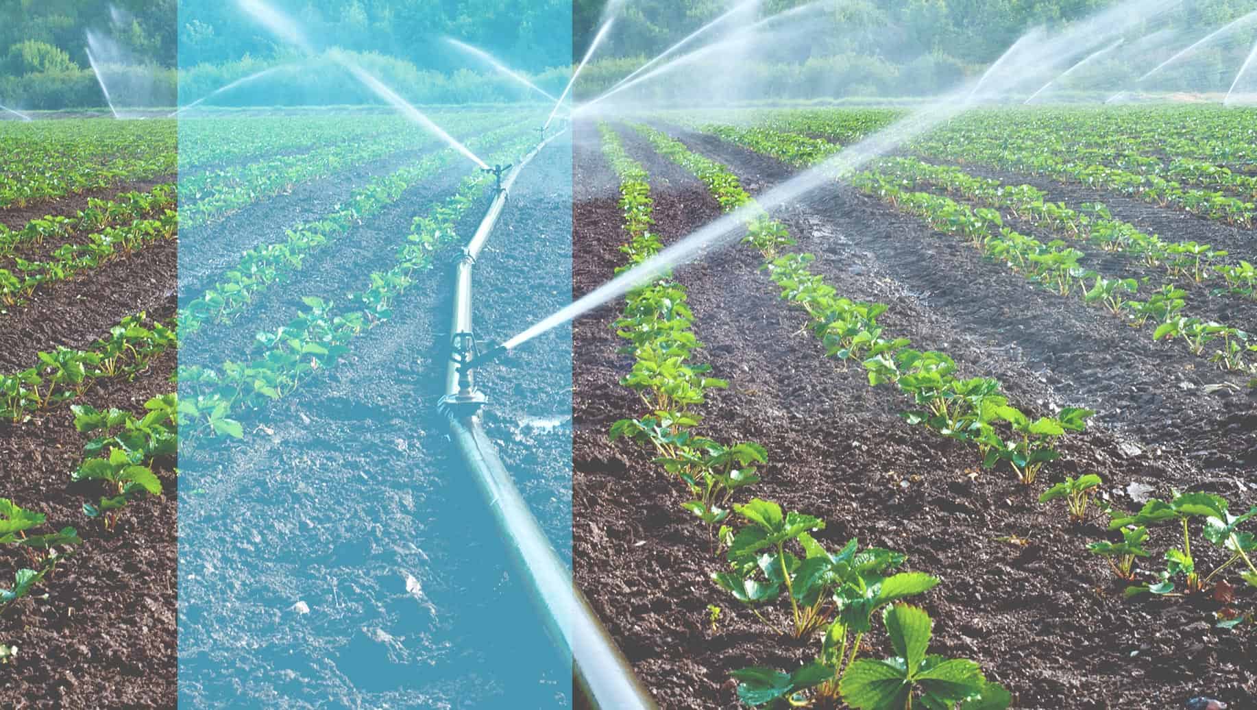 Water Quality Sensor in Agriculture Market Size, Dynamics & Forecast Report to 2030