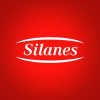 Silanes Market Insight | Outlook | Growth Analysis Report 2022-2028