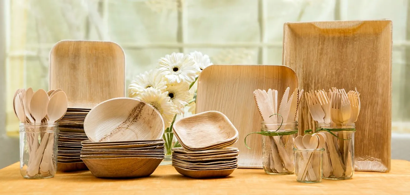 Biodegradable Tableware Market Report 2022-2028 | Industry Analysis By Top Key Players 